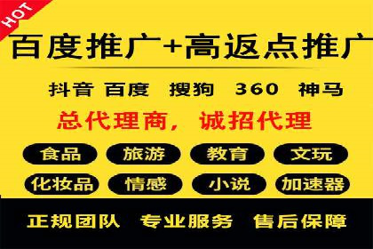 成功SEM托管代运营案例分析